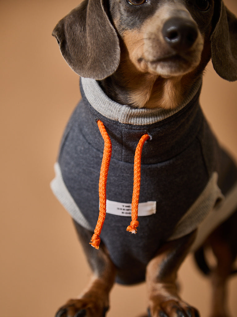 Dachshund Dark Grey Turtleneck Vest SOPHIE