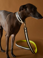 Leather Leash LUNE