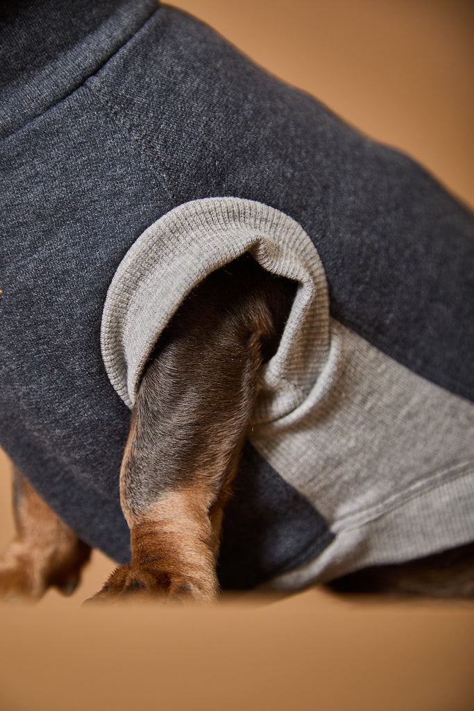 Dachshund Dark Grey Turtleneck Vest SOPHIE