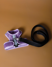 Lilac Neoprene Harness with Reflective Stripe CLAREMONT