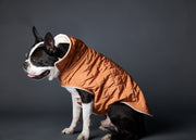 Boston Terrier wearing a quilted terracotta jacket for stylish warmth in chilly weather