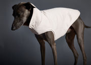 Italian Greyhound wearing a reversible jacket for stylish warmth in chilly weather
