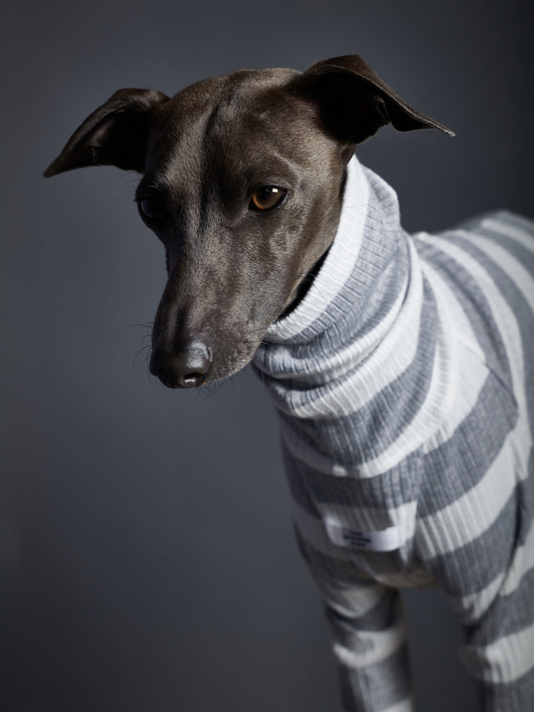 Italian Greyhound / Whippet Striped Turtleneck Sweater BREA