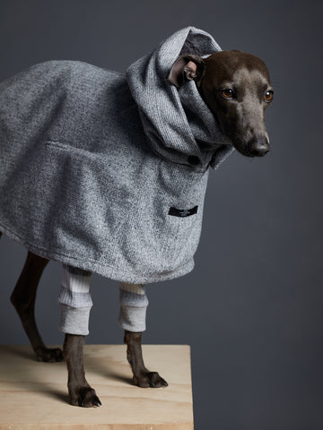 Stylish Italian Greyhound Fashion: Grey Turtleneck and Cape