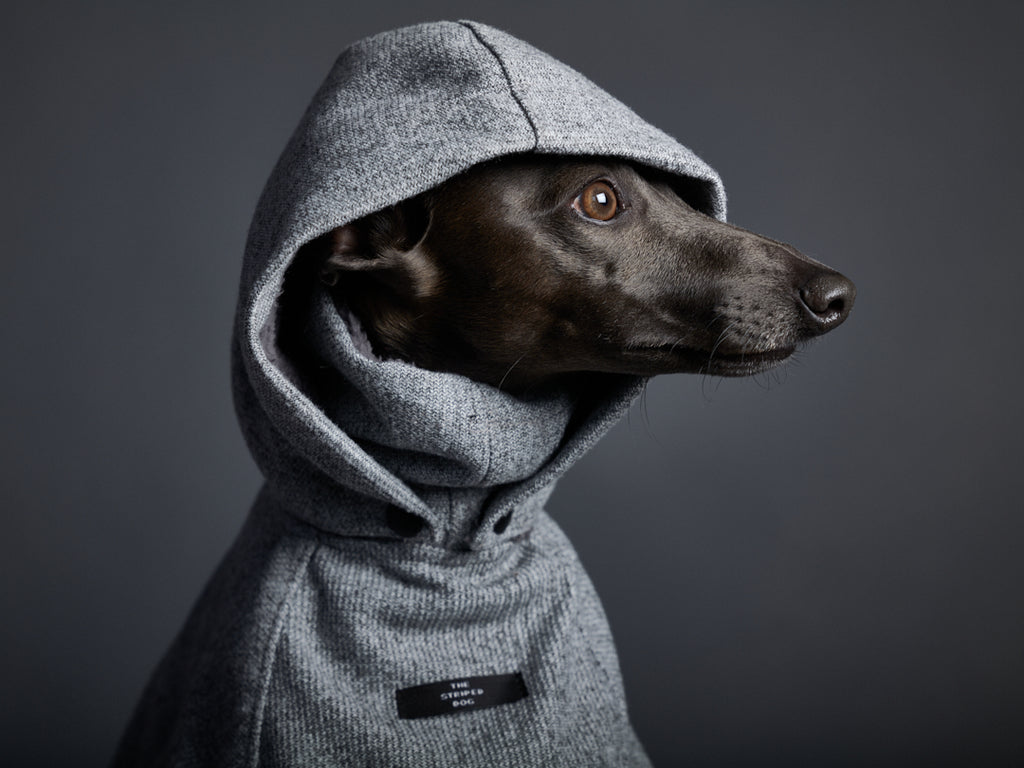 Italian Greyhound / Whippet Grey Turtleneck and Hooded Cape DOWNEY