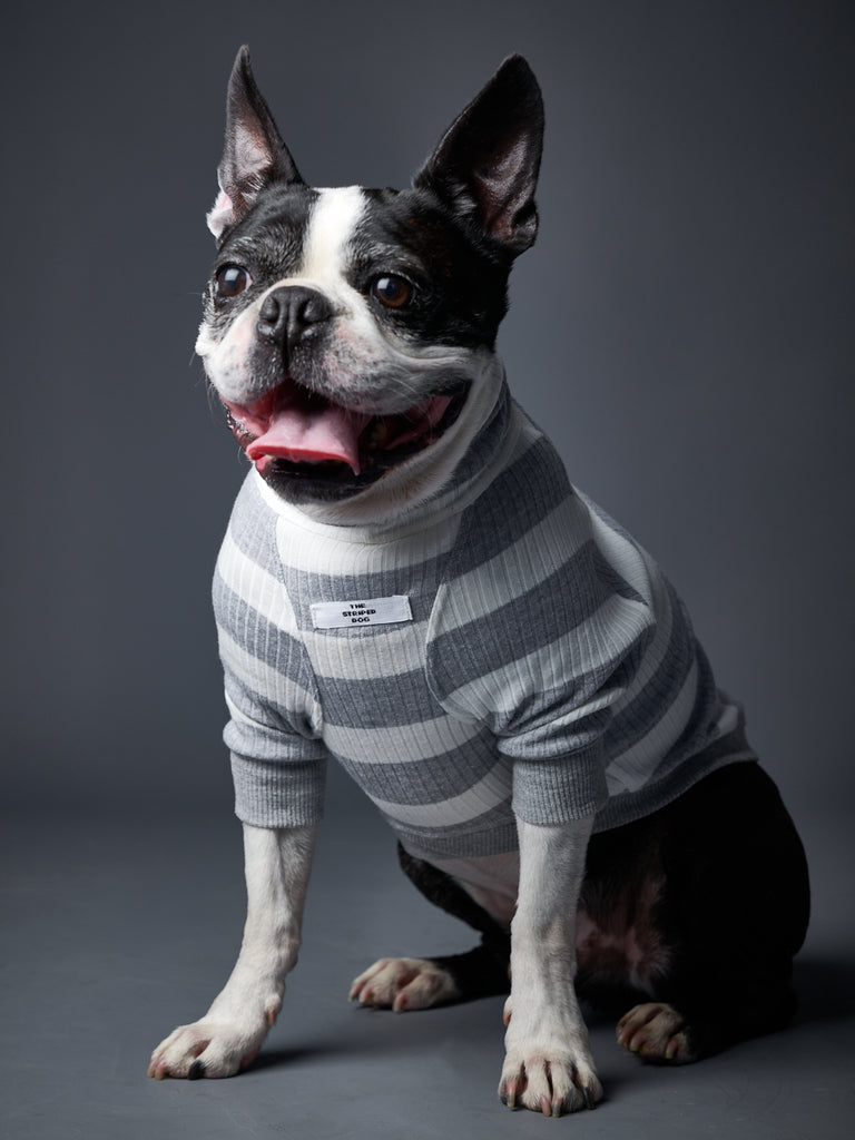 Striped Turtleneck Sweater BREA