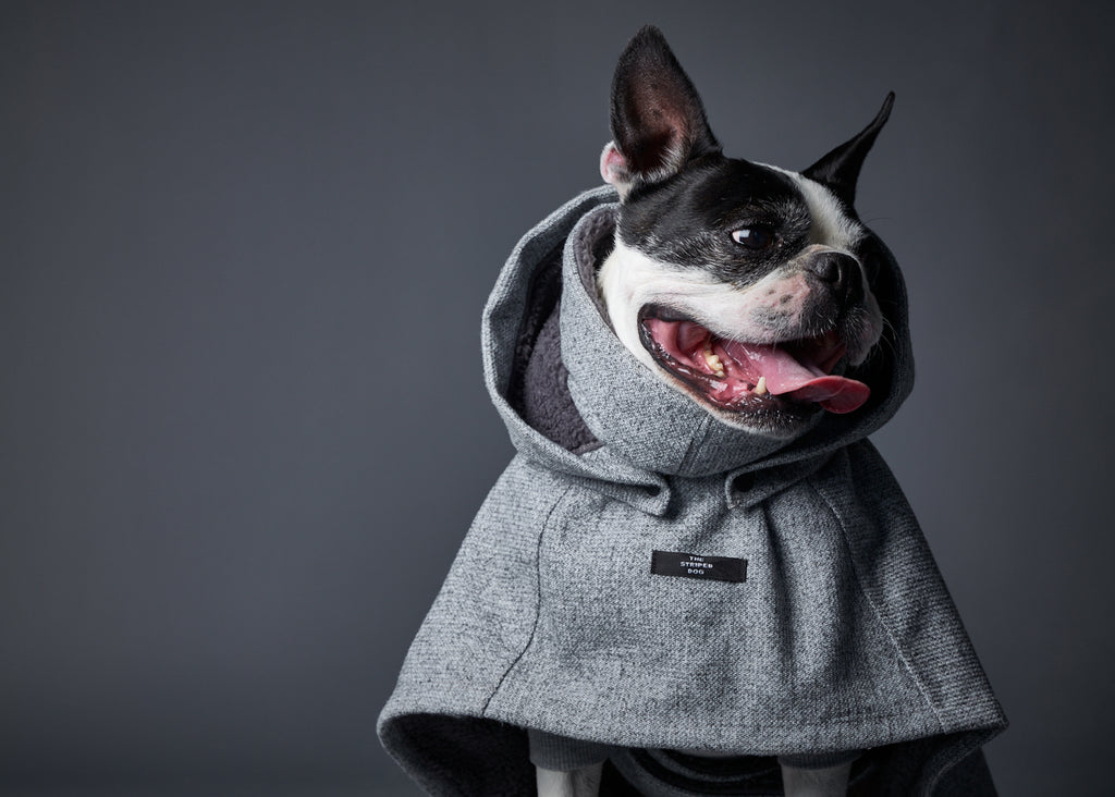 Grey Turtleneck and Hooded Cape Dog Apparel - Fashionable pet clothing