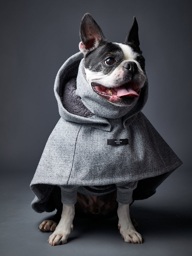 Grey Turtleneck and Hooded Cape Dog Apparel - Fashionable pet clothing 