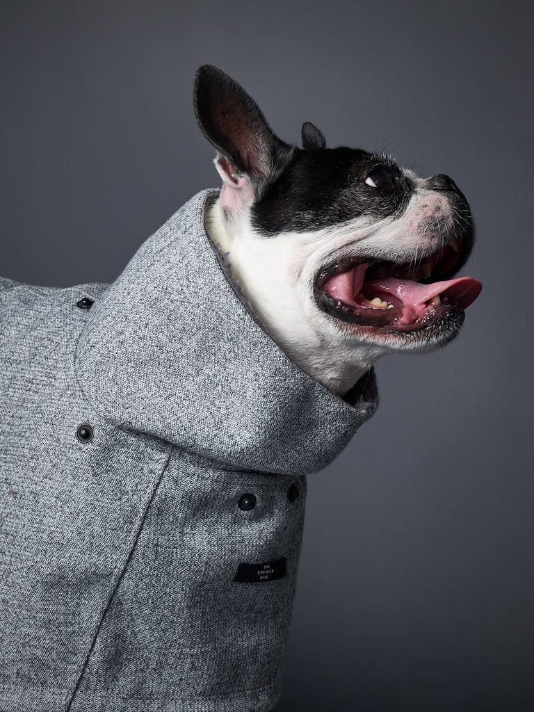 Grey Turtleneck and Hooded Cape Dog Apparel - Fashionable pet clothing