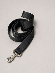 Leash for Dogs