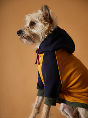 Tricolor Hoodie Sweater GABRIELLE