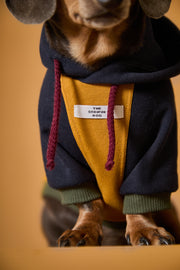 Dachshund Tricolor Hoodie Sweater GABRIELLE
