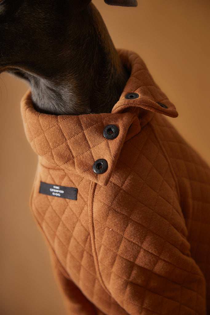 Italian Greyhound / Whippet Terracotta Quilted Turtleneck Sweater BAGUETTE