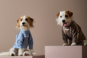 Light Blue Turtleneck Sweater with Patches CAIRO