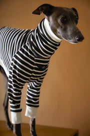 Italian Greyhound / Whippet Striped Turtleneck Sweater ELOISE