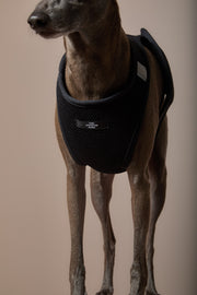 Italian Greyhound / Whippet Black Neoprene Harness DRIFT