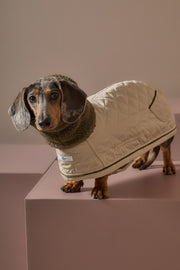 Dachshund Beige Turtleneck Coat FAWN