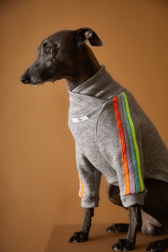 Italian Greyhound grey sweater