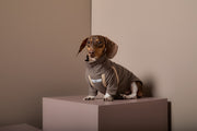 Dachshund Taupe Turtleneck Sweater CAIRO