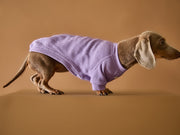 Dachshund Lilac T-shirt BALZAC