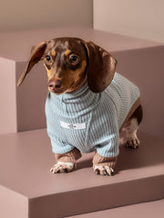 Dachshund Dust Blue Waffle Sweater GRAIN