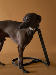 Leather Leash ÉTOILE