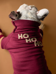 Burgundy Christmas Sweater HOHOHO