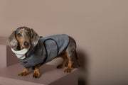 Dachshund Gray Herringbone Jacket TWILL
