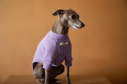 Italian Greyhound / Whippet Lilac T-shirt BALZAC