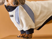 Dachshund Tricolor Turtleneck Sweater EMILY