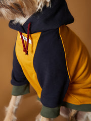 Tricolor Hoodie Sweater GABRIELLE