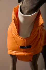 Italian Greyhound / Whippet Orange Turtleneck Puffer Jacket EMBER