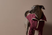 Italian Greyhound / Whippet Burgundy Sweater with Zipper KNIT