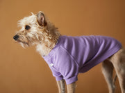Lilac T-shirt BALZAC