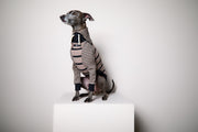 Italian Greyhound / Whippet Taupe and Black Striped Sweater LINE