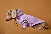 Dachshund Lilac Hoodie BRIE