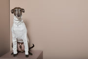 Italian Greyhound / Whippet Cream Turtleneck Sweater COVE