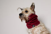 Burgundy Fleece Ring Scarf CHILL