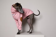 Italian Greyhound / Whippet Pink Ribbed Sweater with Patches MIST
