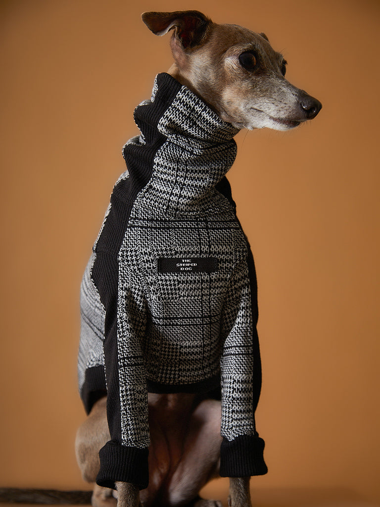 Italian Greyhound / Whippet Plaid Turtleneck Black and White Jacquard Sweater YVES