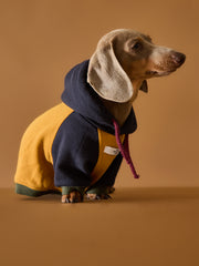Dachshund Tricolor Hoodie Sweater GABRIELLE