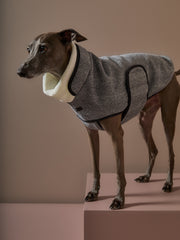 Italian Greyhound / Whippet Gray Herringbone Jacket TWILL