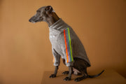 Comfortable grey sweater for Iggies