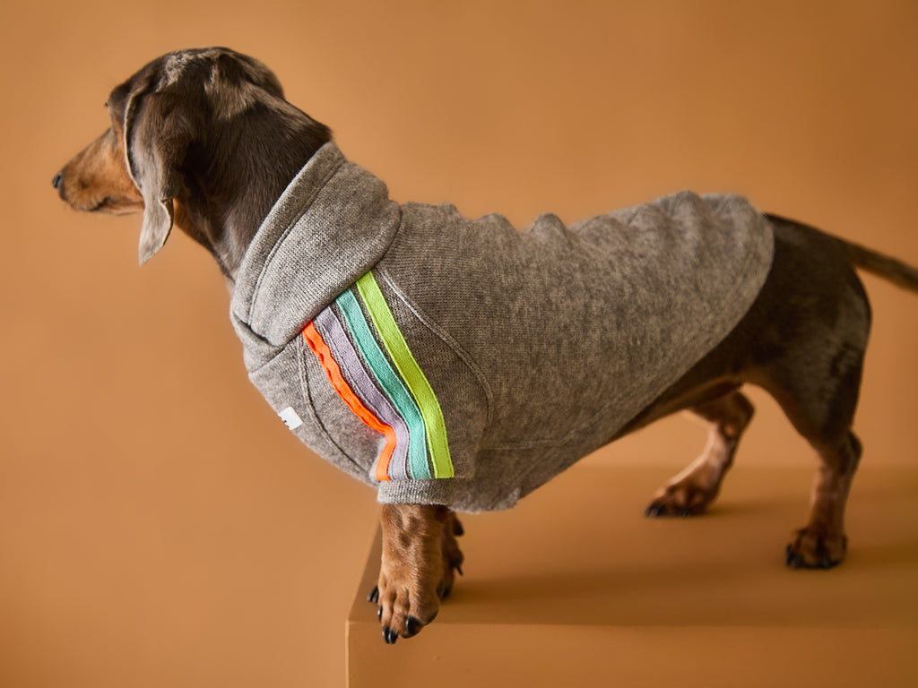 Grey sweater for Dachshunds