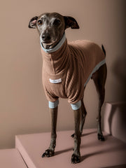 Italian Greyhound / Whippet Mokka Waffle Sweater GRAIN