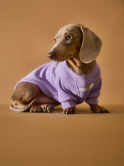 Dachshund Lilac T-shirt BALZAC