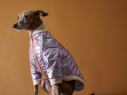 Italian Greyhound / Whippet Metallic Lilac Bomber Jacket with Zipper OPERA