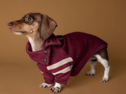 Dachshund Burgundy Christmas Sweater HOHOHO