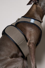 Italian Greyhound / Whippet Brown & Black Mesh Harness COBBLESTONE