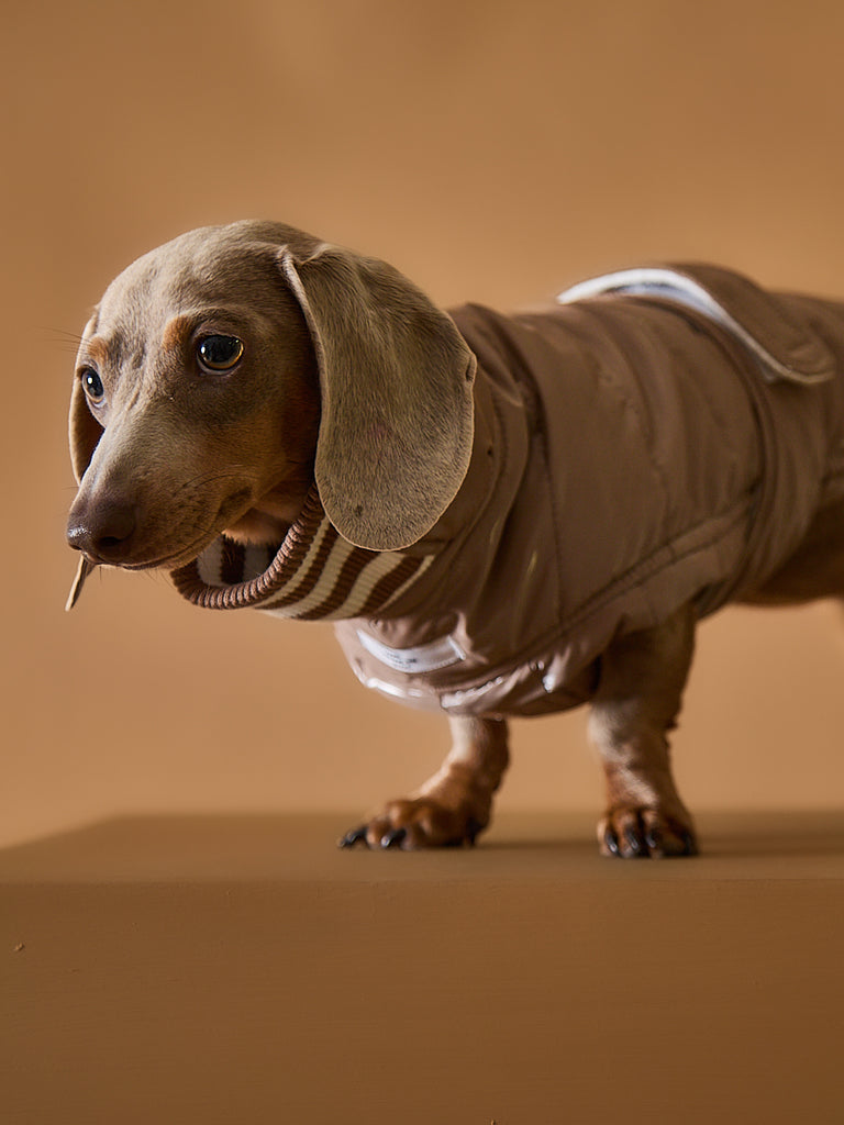 Dachshund Taupe Waterproof Turtleneck Jacket RUE